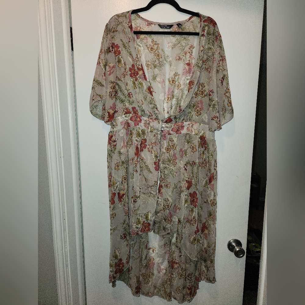 Sheer dress